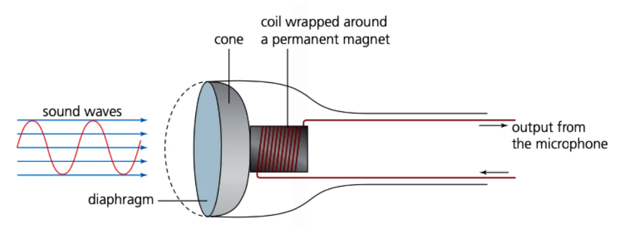 Microphone. Sound waves arrive at a diaphragm on the left. The diaphragm is joined to a cone and a coil wrapped around a permanent magnet. Wires carry the output from the microphone to the right.