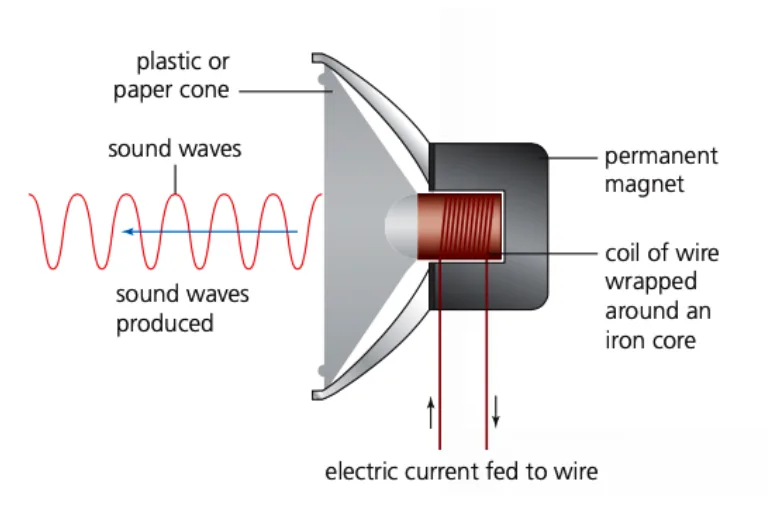 Loudspeaker. An electric current is fed to a coil of wire wrapped around an iron core, next to a permanent magnet. The coil is joined to a plastic or paper cone, which pushes out sound waves.