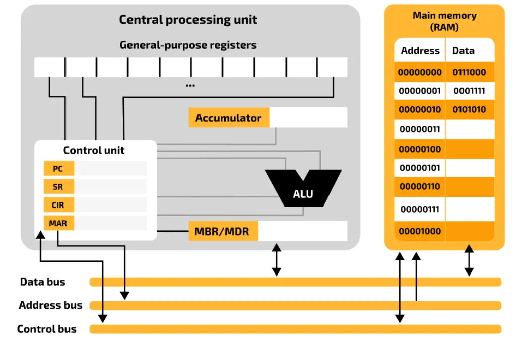 Model of the CPU and main memory. The CPU contains a row of general-purpose registers, the Accumulator, the ALU, the MBR/MDR, and the Control Unit, which holds the PC, SR, CIR and MAR. Main memory (RAM) is a table of 8-bit addresses from 00000000 to 00001000 with the data stored at each. The CPU and RAM are joined by the data bus, address bus and control bus.