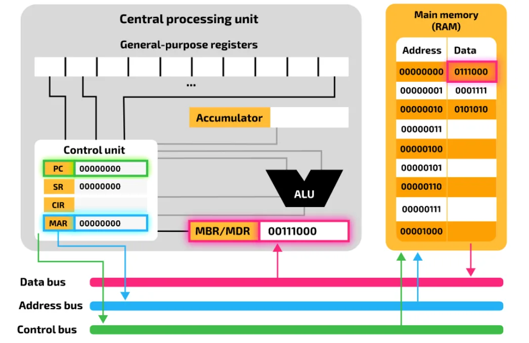 Fetch step 2 on the model: the address in the MAR travels on the address bus (blue) to main memory, a memory read signal goes on the control bus (green), and the instruction 00111000 stored at address 00000000 travels on the data bus (pink) into the MBR/MDR.