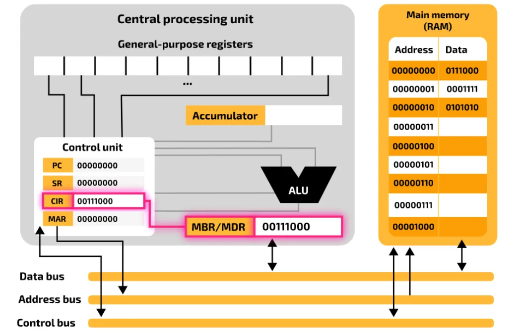 Fetch step 3 on the model: the MBR/MDR, holding 00111000, and the CIR, now also holding 00111000, are highlighted, showing the instruction copied from the MDR to the CIR.