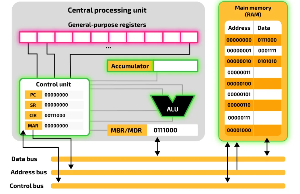 Execute stage on the model: the general-purpose registers, the Accumulator, the ALU, the Control Unit and main memory are all highlighted, as any of them can be used to carry out the instruction.