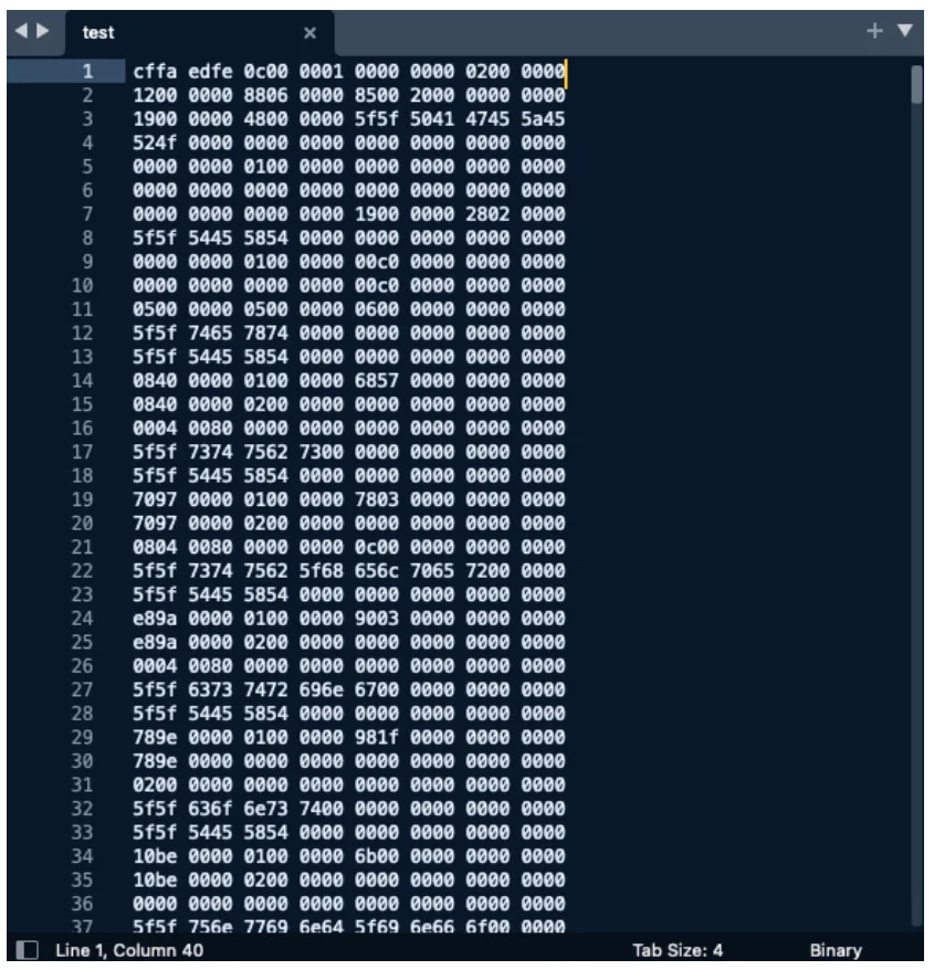A text editor window showing the executable file as rows of meaningless hexadecimal groups such as cffa edfe 0c00 0001.