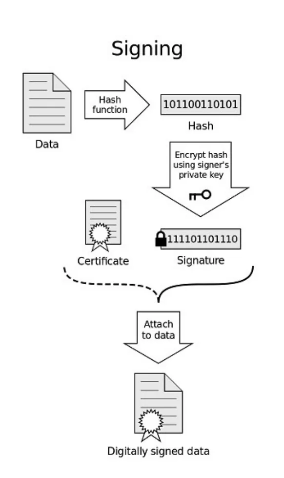 Signing: the data goes through a hash function to give a hash; the hash is encrypted using the signer’s private key to give the signature; the signature and the certificate are attached to the data to give digitally signed data.