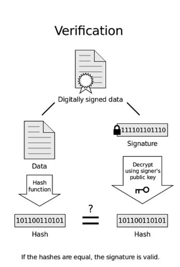 Verification: the digitally signed data is split into the data and the signature. The data goes through the hash function to give a hash. The signature is decrypted using the signer’s public key to give a hash. The two hashes are compared.